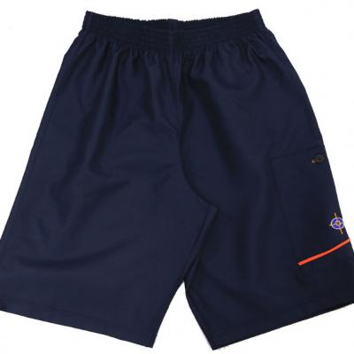 Bermuda MF Cargo Chromos